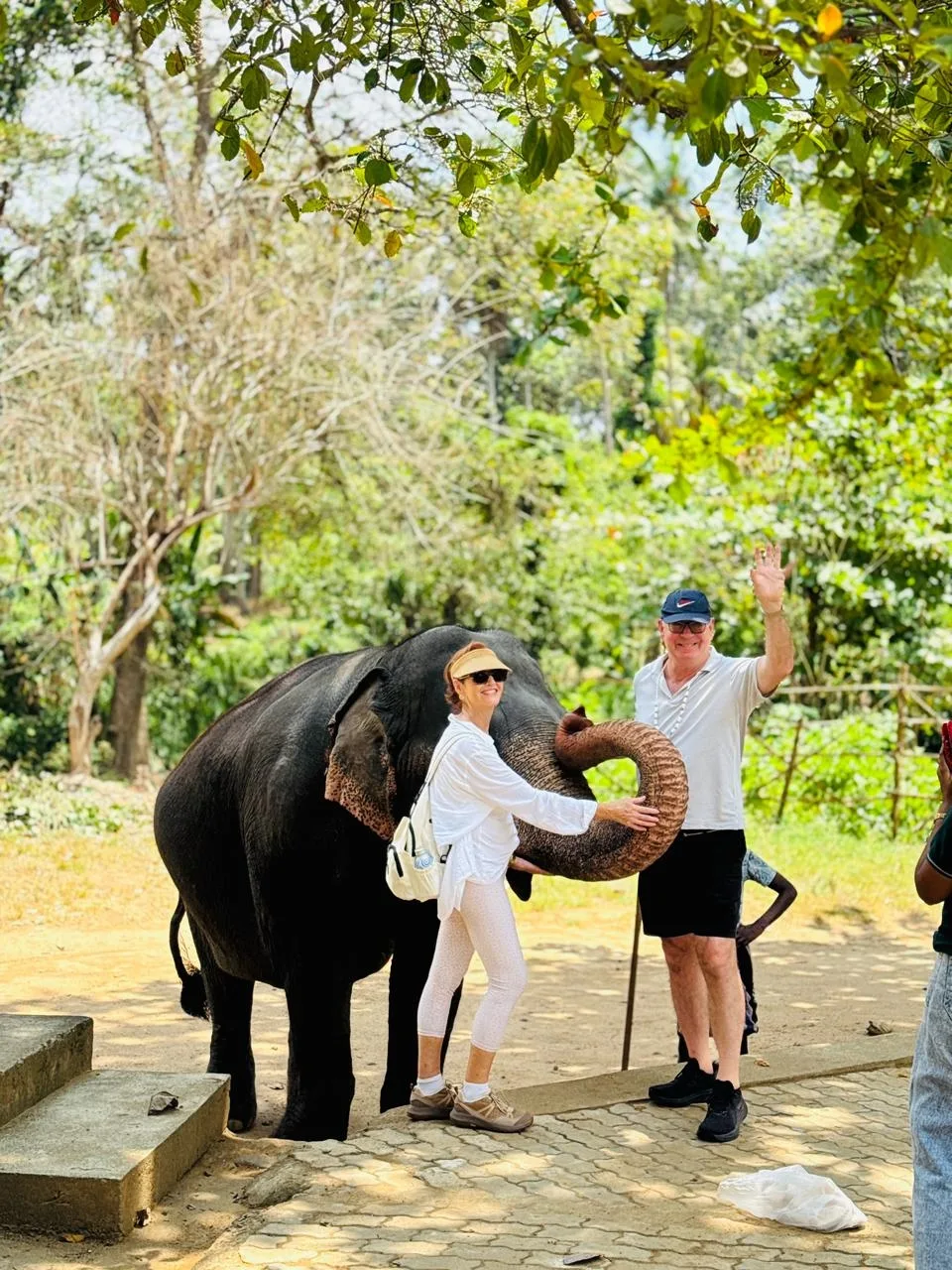 Jane and Roger meeting an elephant